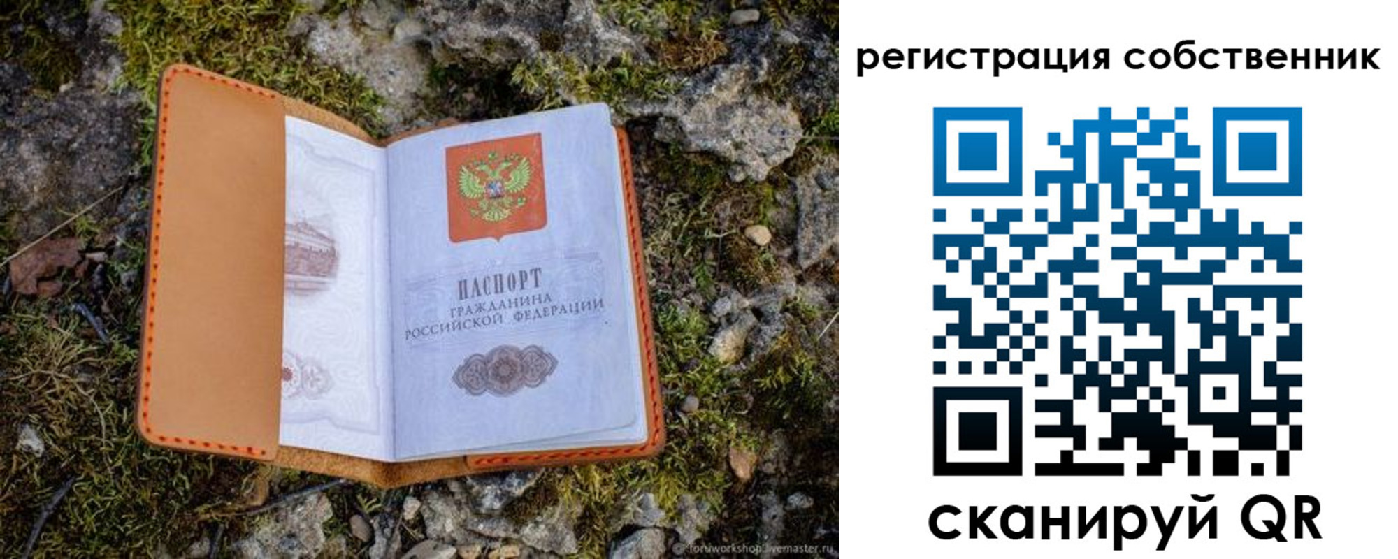 прописка поиск в Бокситогорске